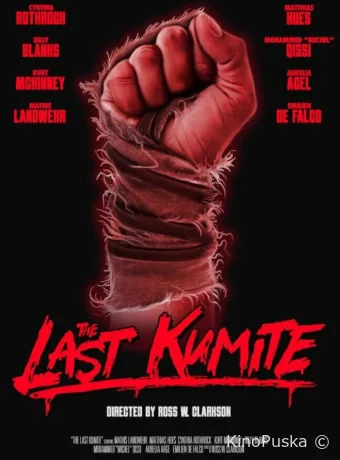 На расстоянии удара / The Last Kumite 2024 смотреть онлайн