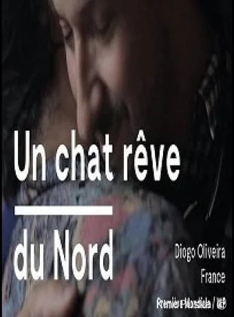 Кот, мечтающий о севере / Un Chat Rêve Du Nord 2020 смотреть онлайн