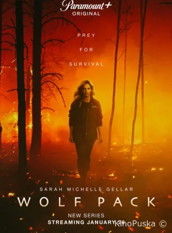 Сериал Волчья стая / Wolf Pack 2023 смотреть онлайн 2 сезон 9 серия