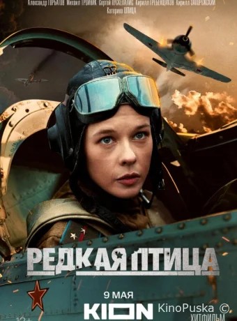 Сериал Редкая птица /  2024 смотреть онлайн 2 сезон 5 серия