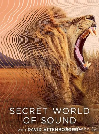 Сериал Тайный мир звука с Дэвидом Аттенборо / Secret World of Sound with David Attenborough 2024 смотреть онлайн 2 сезон 4 серия