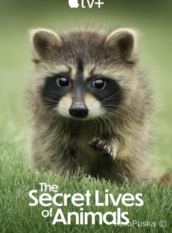 Сериал Тайная жизнь животных / The Secret Lives of Animals 2024 смотреть онлайн 2 сезон 11 серия