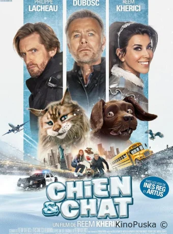 Кот и пёс / Chien et chat 2024 смотреть онлайн
