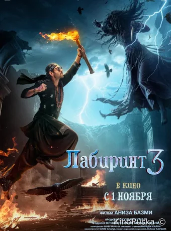Лабиринт 3 / Bhool Bhulaiyaa 3 2024 смотреть онлайн